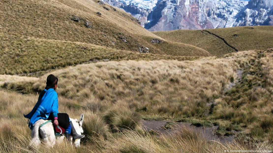 Una mujer indígena en las laderas del volcán Chimborazo, en los Andes ecuatorianos, una de las regiones donde los investigadores estudiaron las marcas epigenéticas de la adaptación a la altitud. Una mujer indígena en las laderas del volcán Chimborazo, en los Andes ecuatorianos, una de las regiones donde los investigadores estudiaron las marcas epigenéticas de la adaptación a la altitud.