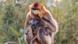 La cría de Jinhua, nacida el 2 de abril, marca el segundo nacimiento histórico de esta especie en Beauval.