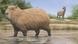Ilustração de uma capivara e, ao fundo, um outro animal extinto, do gênero Macrauchenia Ilustração de uma capivara e, ao fundo, um outro animal extinto, do gênero Macrauchenia