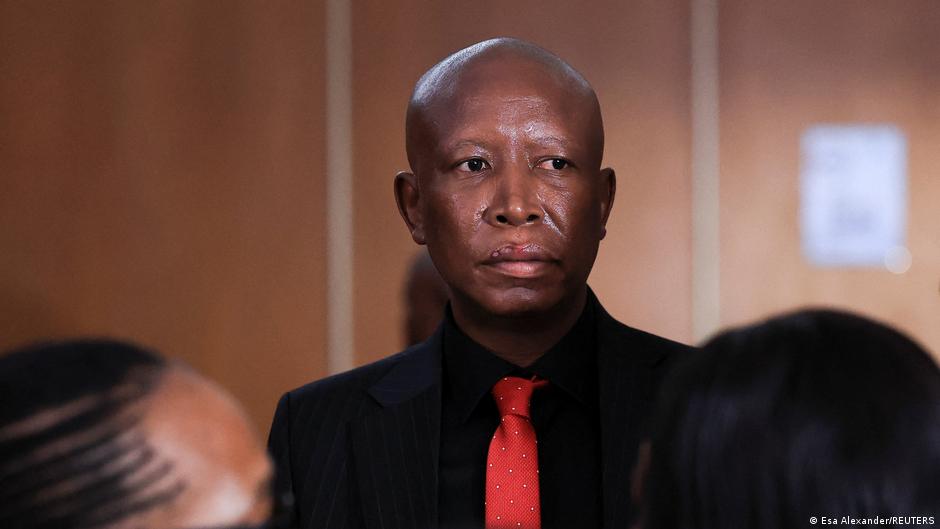 South Africa's Malema sentenced to jail on gun charges