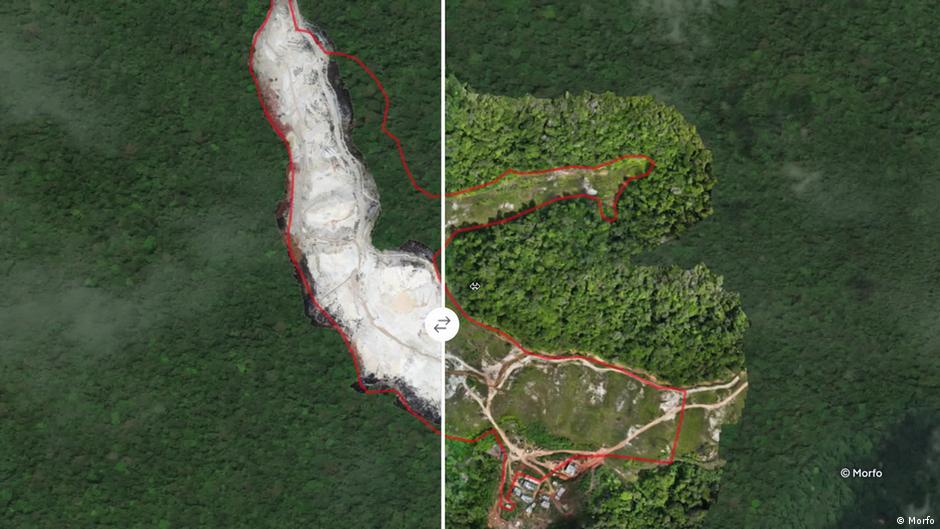 Using AI to plant trees