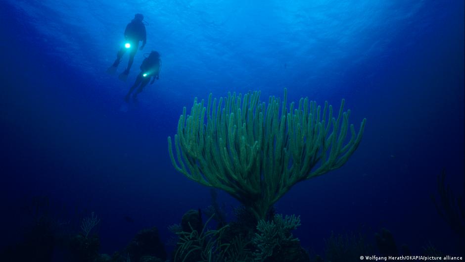 El enigma de la "ciudad sumergida" de Cuba: estructuras simétricas a 600 metros que nadie ha explicado