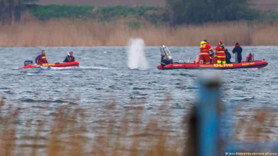 Humbak się uwolnił. Zwierzę znowu pływa w zatoce
