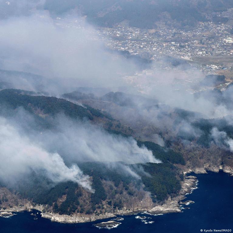 Japan: Raging wildfires cause mass evacuations
