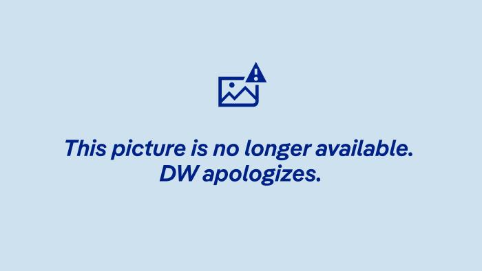 Europe’s power shift: Renewables near 50% as climate extremes hit new highs