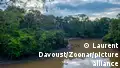 Ecuador starts fracking in Amazon rainforest 