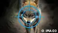 Reporter - Wolves in Germany: Kill or protect?