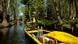 Deutsche Post delivery staff member Andrea Bunar manoeuvers her bright yellow vessel as she makes the season opening delivery tour of the Spreewald barge postal delivery service Deutsche Post delivery staff member Andrea Bunar manoeuvers her bright yellow vessel as she makes the season opening delivery tour of the Spreewald barge postal delivery service