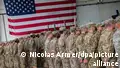 Europe pushes back as Trump hits out over Iran and US troops