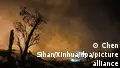 China: Explosion at fireworks factory kills at least 21
