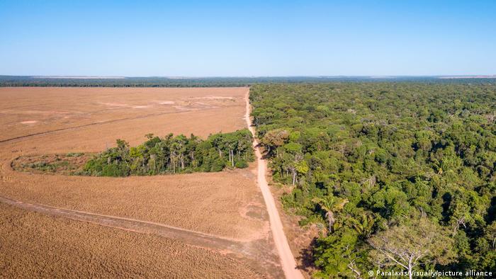 Agro brasileiro leva propostas climáticas para a COP31