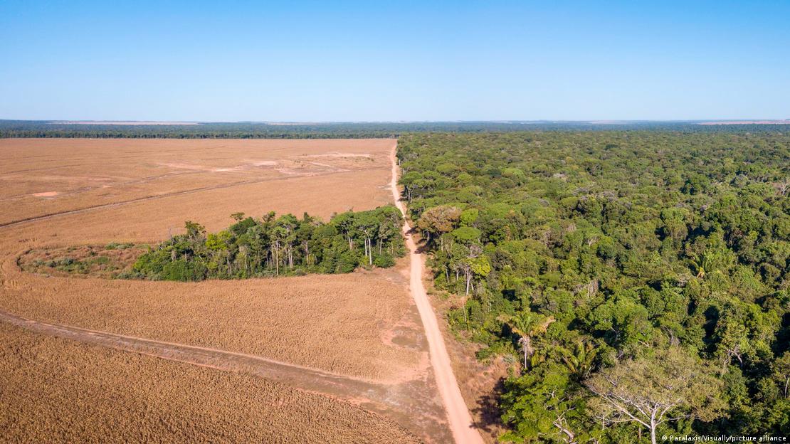 Estrada de terra divide área desmatada e de floresta na Amazônia brasileira