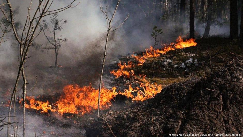 Понад 300 осіб продовжують гасити лісову пожежу у Чорнобильській зоні
