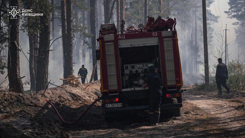 Лісові пожежі охопили понад 2000 га у чотирьох областях України