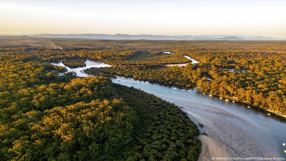 Antes de 2100, el cambio climático podría eliminar el 16 % de todas las especies vegetales