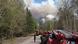 Bombeiros numa estrada em uma floresta em chamas Bombeiros numa estrada em uma floresta em chamas