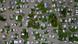 An aerial view shows houses in a lagoon surrounded by water hyacinth plants An aerial view shows houses in a lagoon surrounded by water hyacinth plants