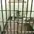 نمایی از داخل یک زندان فاقد امکانات انسانی
