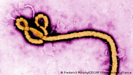 Ebola-infizierter US-Bürger wird nach Deutschland gebracht