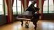 Черный концертный рояль Steinway & Sons стоит в комнате с большими окнами Черный концертный рояль Steinway & Sons стоит в комнате с большими окнами