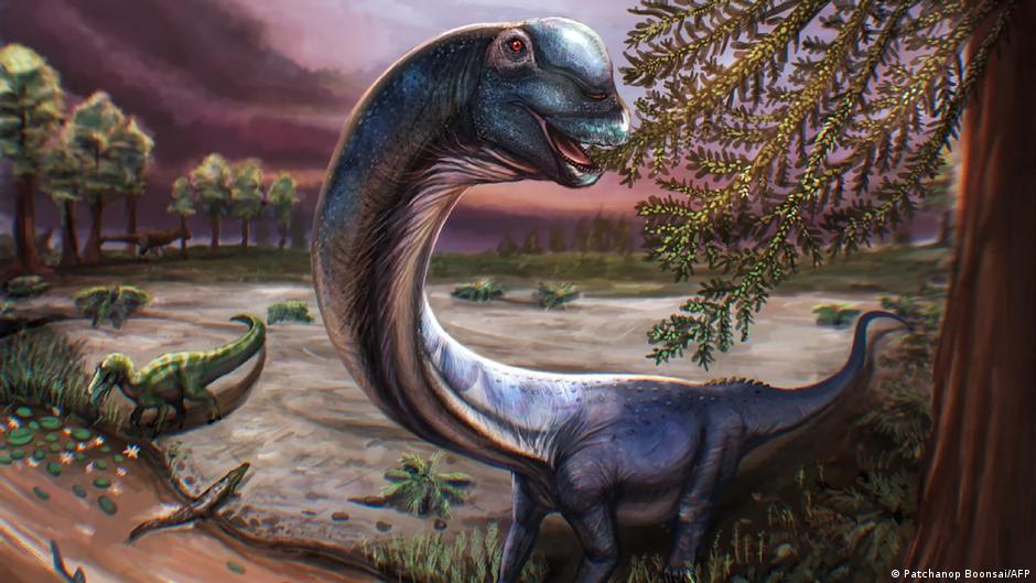 "El último titán": identifican en Tailandia el dinosaurio más grande jamás hallado en el sudeste asiático