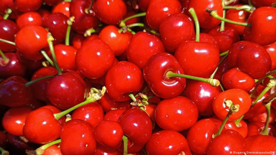 Россия запретила ввоз всей растительной продукции из Армении