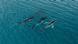 This photo provided by the Pacific Whale Foundation in May 2026, shows three humpback whales migrating along the eastern Australia coast. This photo provided by the Pacific Whale Foundation in May 2026, shows three humpback whales migrating along the eastern Australia coast.