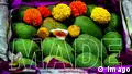 Can India’s king of fruits conquer Europe?