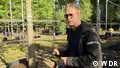 Netherlands: providing large trees and shade for cities