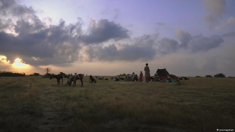 The Shepherd's Life: Caring for Animals in Solitary Landscapes - News Directory 3