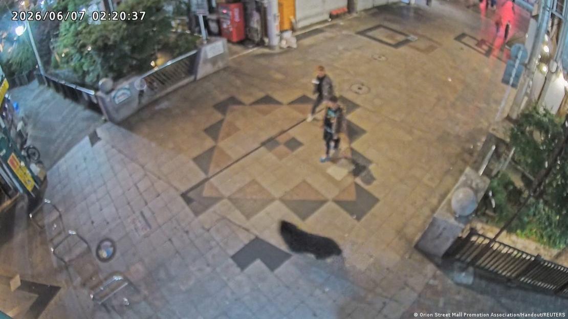 Captura de pantalla de imágenes de vigilancia muestra al oso salvaje corriendo junto a transeúntes en una zona residencial de Utsunomiya, en la prefectura de Tochigi, Japón, el 7 de junio de 2026.