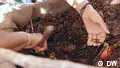 Turning sand into fertile soil: A Kenyan food experiment