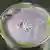An ube matcha drink with purple foam