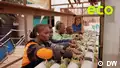 Kenya’s soil whisperer: Growing food where nothing thrives