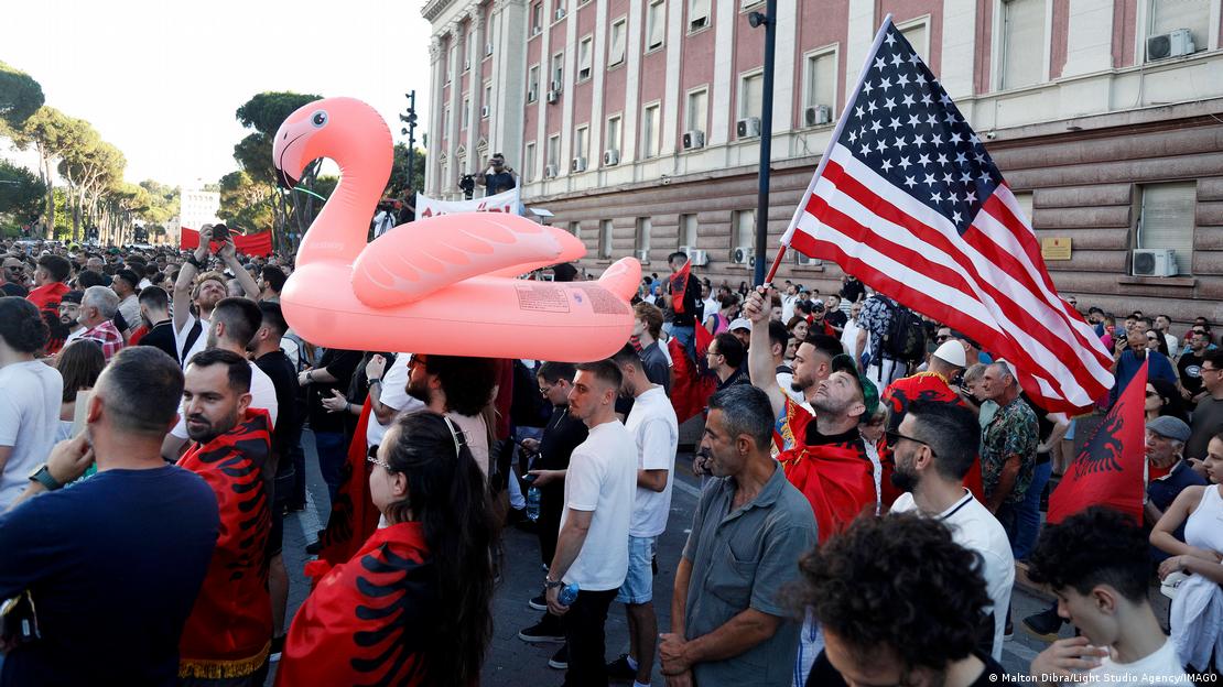 Protesta në Tiranë me flamingo 