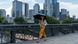 A woman protects herself from the heat in Frankfurt