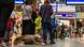 Un perro espera junto a su dueño en una larga cola ante el mostrador de atención al cliente de la estación central de Frankfurt, durante la suspensión temporal del servicio de la Deutsche Bahn que afectó toda Alemania. (23.06.2026) Un perro espera junto a su dueño en una larga cola ante el mostrador de atención al cliente de la estación central de Frankfurt, durante la suspensión temporal del servicio de la Deutsche Bahn que afectó toda Alemania. (23.06.2026)