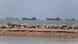 Vessels in the Strait of Hormuz near the beach of Bandar Abbas, following the signing of the Islamabad Memorandum of Understanding between the United States and Iran, Iran, June 18, 2026 Vessels in the Strait of Hormuz near the beach of Bandar Abbas, following the signing of the Islamabad Memorandum of Understanding between the United States and Iran, Iran, June 18, 2026