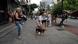 En la imagen varias personas se encuentran en la calle luego que se registrara el temblor.