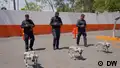 Robot dogs at the worldcup