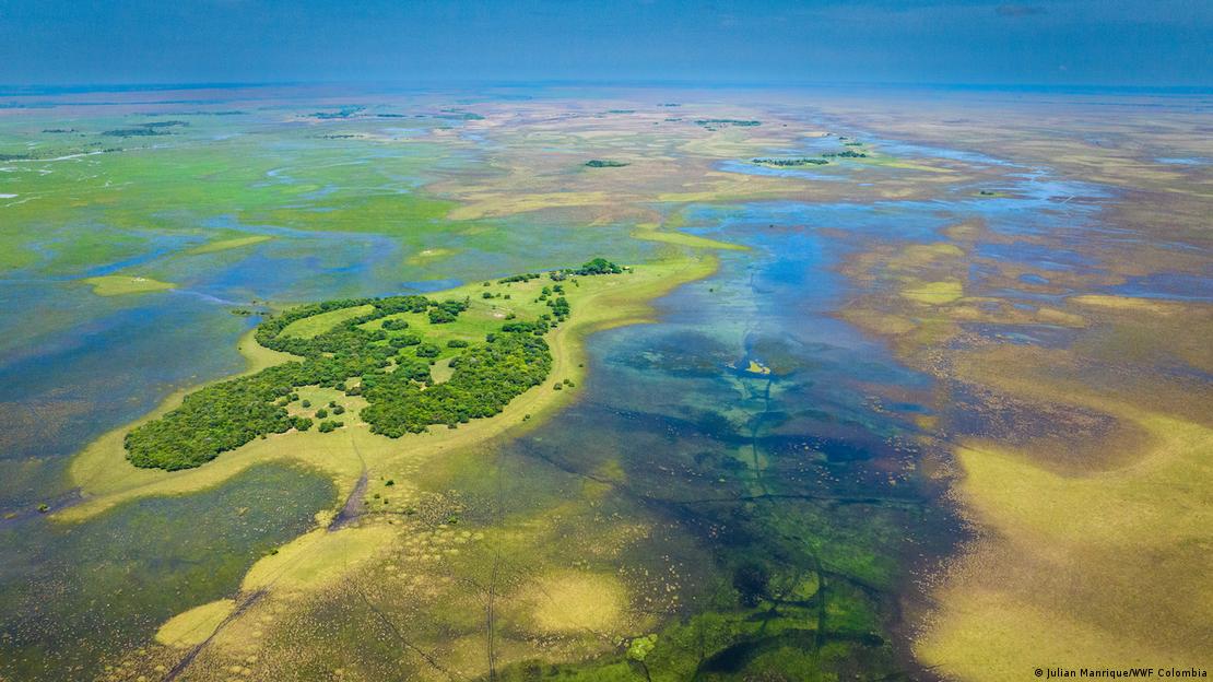 Vista desde el aire de un pastizal en Colombia, rodeado de agua. Vista desde el aire de un pastizal en Colombia, rodeado de agua.