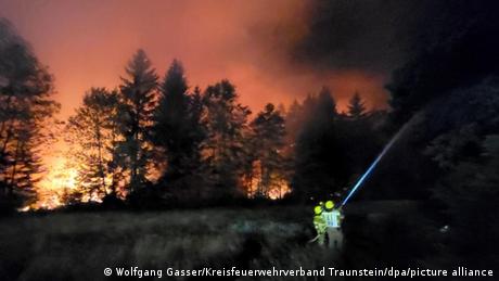Folgen der Hitzewelle: Waldbrände und mehr Hitzetote