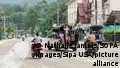 Thailand: Child crashes vehicle into group of monks