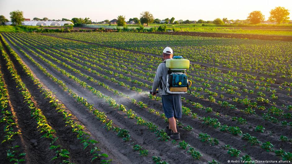 EU moves to loosen rules on pesticide use as experts sound the alarm