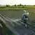 Farmer sprays a potato plantation with a sprayer