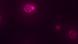 Imagen de la célula sintética con su sistema de traducción y enzimas metabólicas activas, con la membrana teñida de rojo mediante un colorante lipídico.