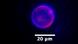 Imagen de SpudCell encapsulando su genoma completo, con el ADN y la membrana sintética marcados con tintes fluorescentes.