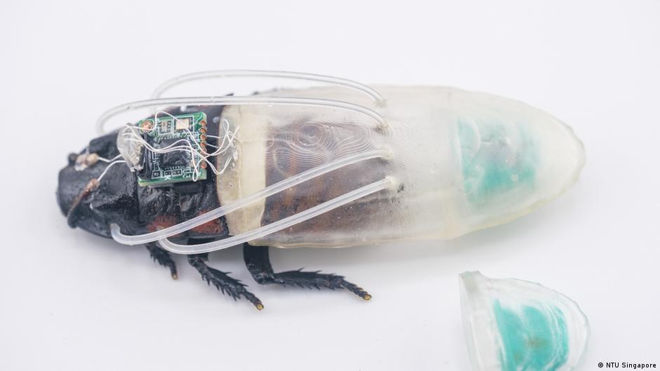 Cucarachas ciborg reciben un traje que les da un nuevo superpoder