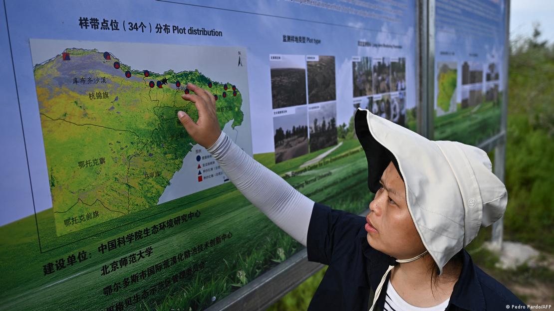 Una estudiante trabaja en el proyecto de la Gran Muralla Verde, en el desierto de Kubuqi, Mongolia Interior.