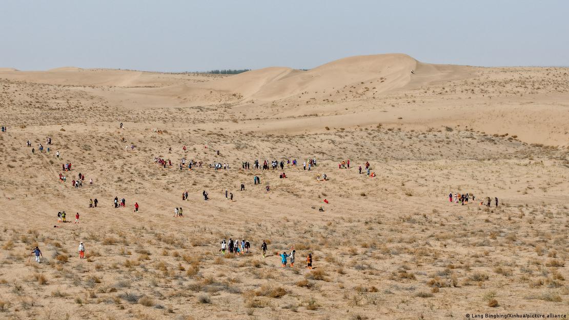 Voluntarios plantan árboles contra la desertificación en Minqin, provincia de Gansu.